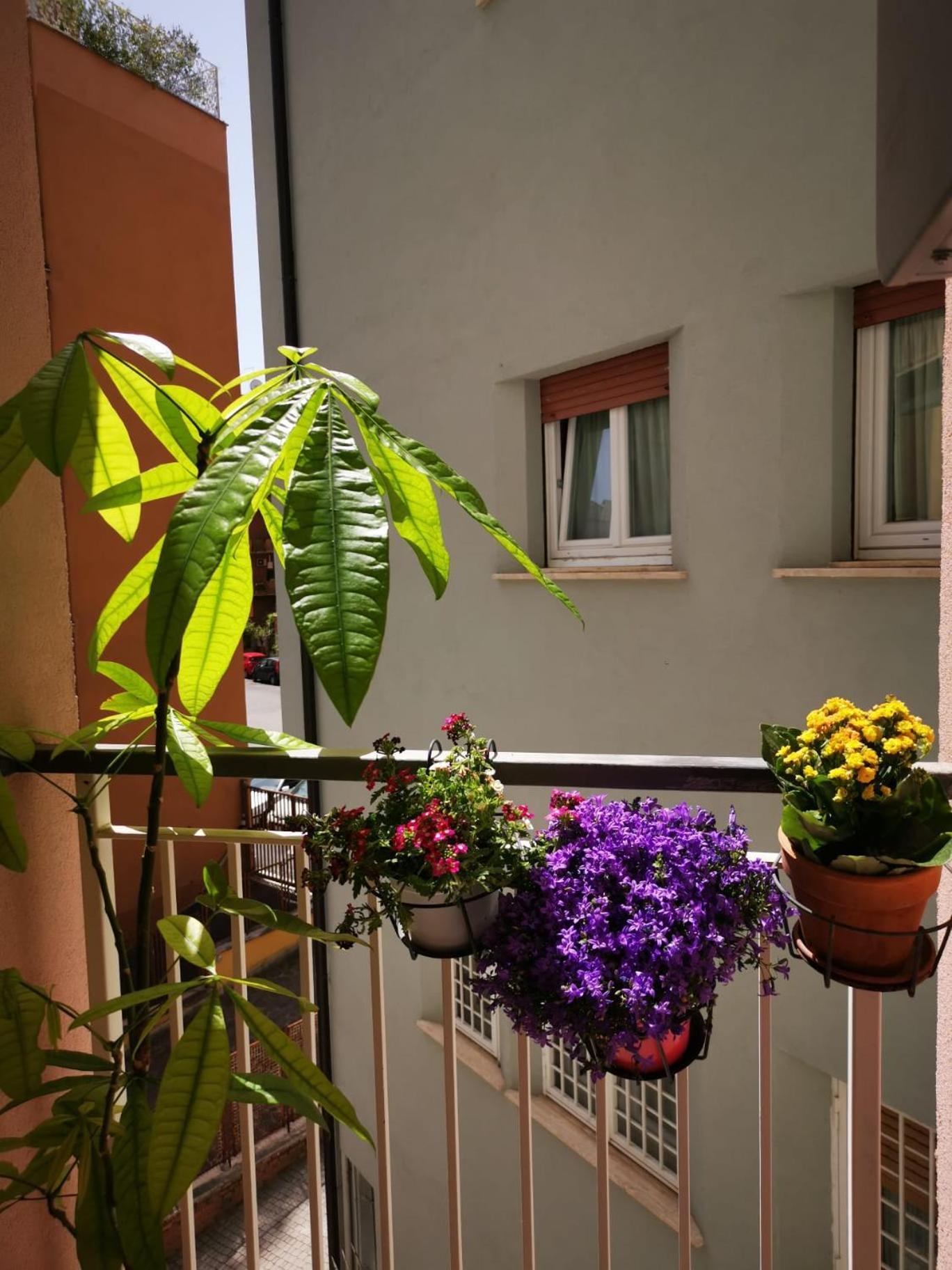 Apuleio 11 Apartment Рим Екстериор снимка